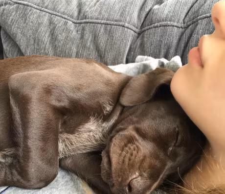 Co gai noi tieng tren mang du chua bao gio lo mat - Anh 3