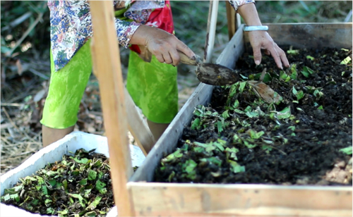 Thùng xử lý rác cây thanh long của sinh viên kiến trúc ảnh 3 Ngoài việc giải quyết rác thải thanh long, mô hình này có thể tăng thêm thu nhập từ việc kinh doanh giun quế