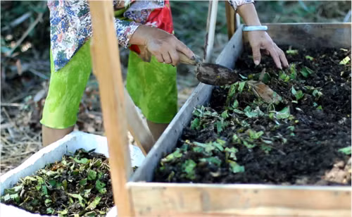 Ngoài việc giải quyết rác thải thanh long, mô hình này có thể tăng thêm thu nhập từ việc kinh doanh giun quế