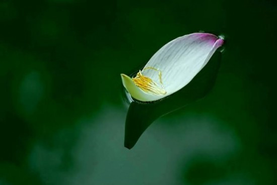 Nếu sự tình không như mong muốn, hãy tin ông trời có an bài khác cho bạn ảnh 2 Nếu sự tình không như mong muốn, hãy tin ông trời có an bài khác cho bạn ảnh 2