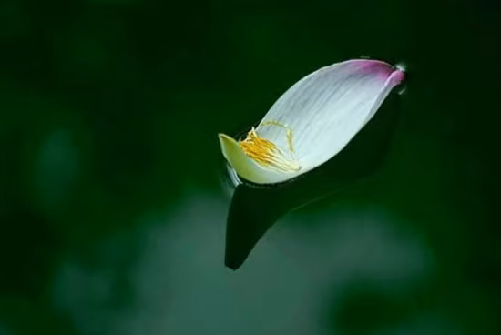 Nếu sự tình không như mong muốn, hãy tin ông trời có an bài khác cho bạn ảnh 2