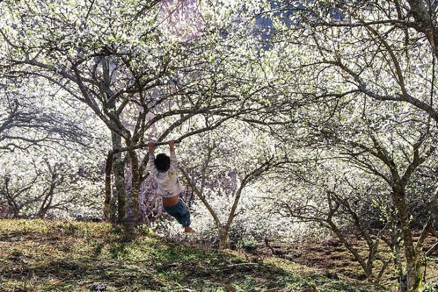 Chúng ta sở dĩ mệt mỏi là bởi vì đã nghĩ quá nhiều! ảnh 3 Chúng ta sở dĩ mệt mỏi là bởi vì đã nghĩ quá nhiều! ảnh 3