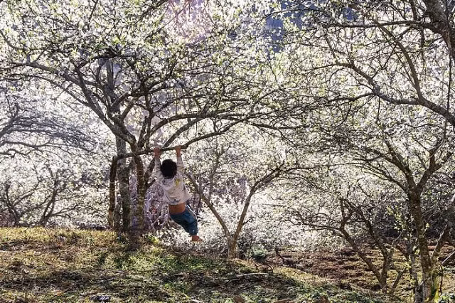 Chúng ta sở dĩ mệt mỏi là bởi vì đã nghĩ quá nhiều! ảnh 3