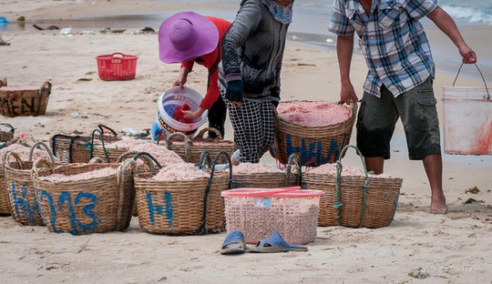 Ruốc nhuộm hóa chất: Hết dám ăn! ảnh 1 Hình ảnh nhuộm ruốc được đăng tải trên Facebook Lê My