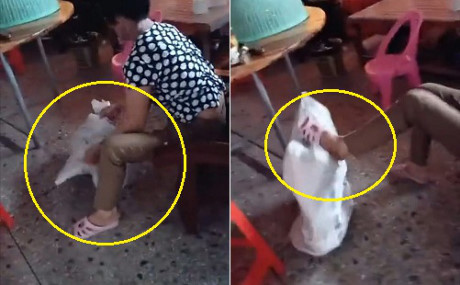 Bé gái đáng thương bị chính người thân nhét trong bao tải rồi đánh đập như Be gai dang thuong bi chinh nguoi than nhet trong bao tai roi danh dap nhu