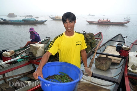 Xuyên đêm Xuyen dem