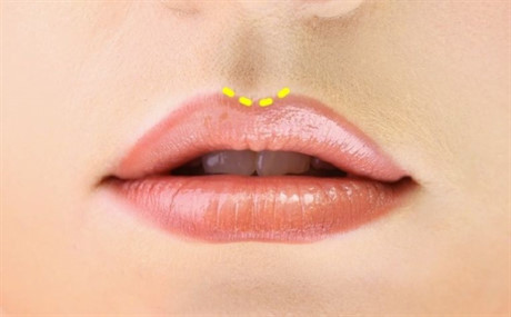Những bí ẩn của đôi môi mà không phải ai cũng biết - Ảnh 7 Nhung bi an cua doi moi ma khong phai ai cung biet - Anh 7