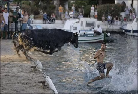 Nhung khoanh khac cua mot giay truoc tham hoa duoc chup lai - Anh 6