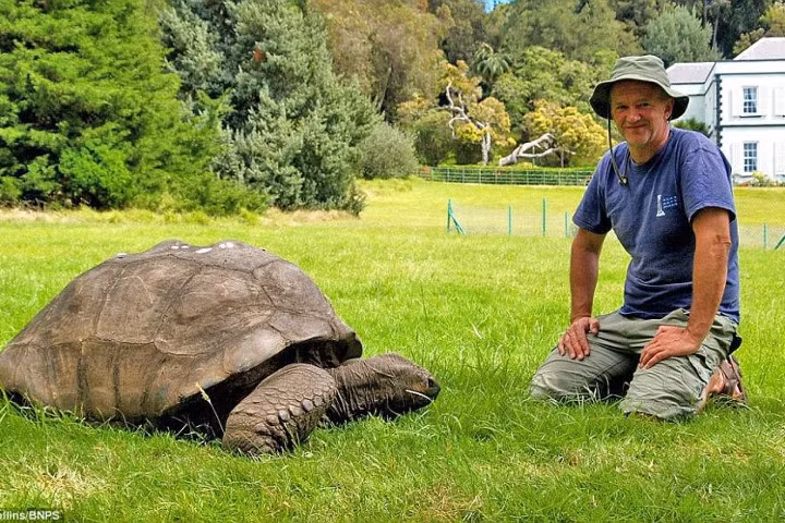 Những sinh vật "sống dai" nhất Trái đất