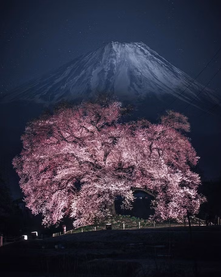 Những bức ảnh đẹp đến ngỡ ngàng chỉ có ở châu Á ảnh 20