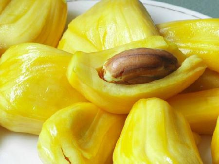 Cong dung va nhung bai thuoc hay tu MIT