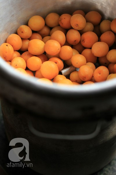 Dùng một xửng hấp, đổ nước vào, đun sôi nước thì cho mơ vào hấp cách thủy khoảng 1 phút thì tắt bếp - không hấp quá lâu mơ sẽ bị chín nát, nứt vỏ. Dùng một xửng hấp, đổ nước vào, đun sôi nước thì cho mơ vào hấp cách thủy khoảng 1 phút thì tắt bếp - không hấp quá lâu mơ sẽ bị chín nát, nứt vỏ.