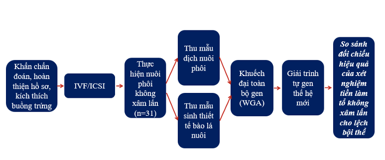 Các bước tiến hành nghiên cứu nhóm thực hiện.