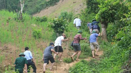 Đã khoanh vùng nghi phạm vụ thảm sát ở Nghệ An