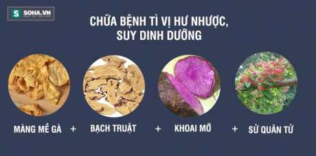 Màng mề gà: Vị thuốc cực quý không nhiều người biết - Ảnh 6 Mang me ga: Vi thuoc cuc quy khong nhieu nguoi biet - Anh 6