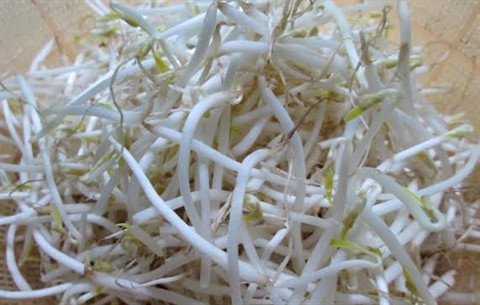 Bí quyết phân biệt rau bẩn - rau sạch các bà nội trợ nên biết - Ảnh 4