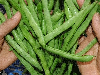 Bí quyết phân biệt rau bẩn - rau sạch các bà nội trợ nên biết - Ảnh 5