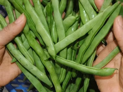 Bí quyết phân biệt rau bẩn - rau sạch các bà nội trợ nên biết - Ảnh 5