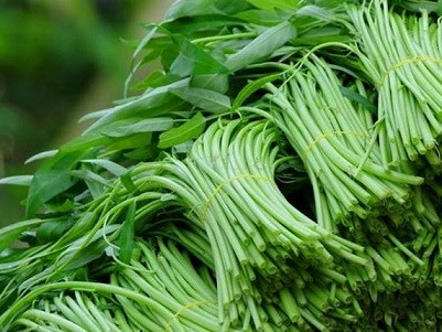 Bí quyết phân biệt rau bẩn - rau sạch các bà nội trợ nên biết - Ảnh 1