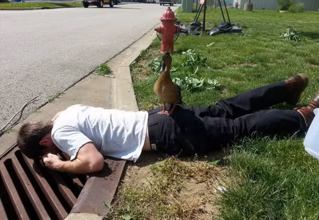 Chỉ cần một đòn là đủ hạ gục rồi nhé.