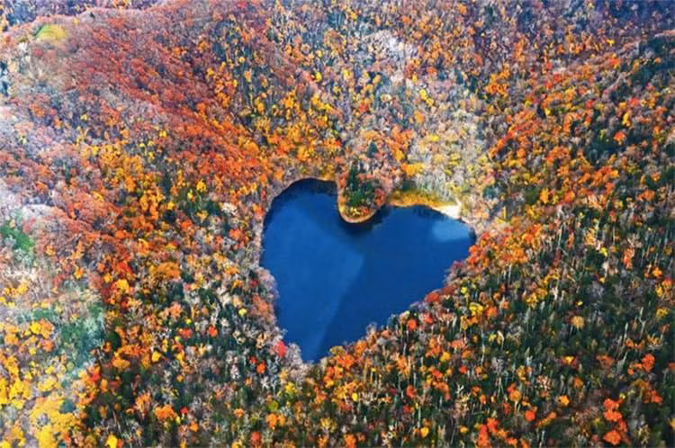 Đẹp lịm tim hồ nước hình trái tim tự nhiên duy nhất ở Nhật Bản ảnh 3
