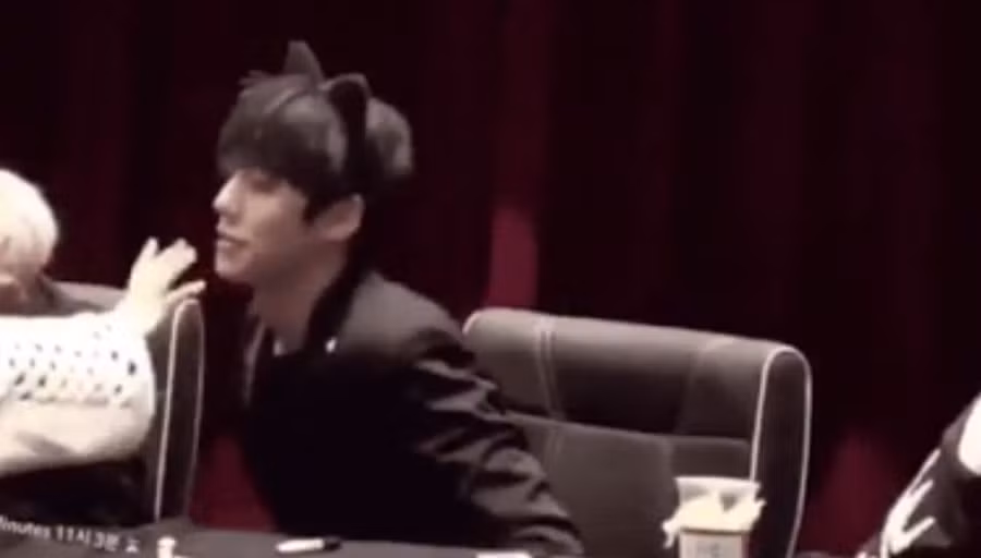 Những hành động của "người hâm mộ" khiến thần tượng hãi hùng ảnh 2