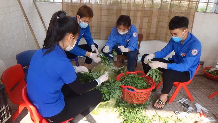 Nhiều tình nguyện viên trẻ của khu phố là học sinh trung học phổ thông cũng đến hỗ trợ cùng nhà trường