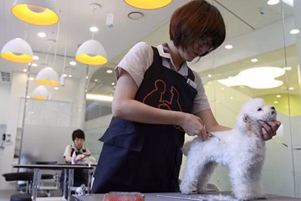 Kiếm tiền triệu không khó với những nghề này vào dịp Tết đến xuân về