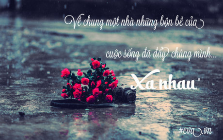 Viết cho vợ trước ngày ly hôn - Ảnh 2 Viet cho vo truoc ngay ly hon - Anh 2