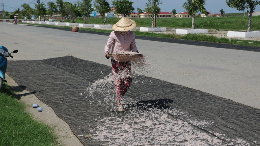 Ngư dân đang phơi ruốc