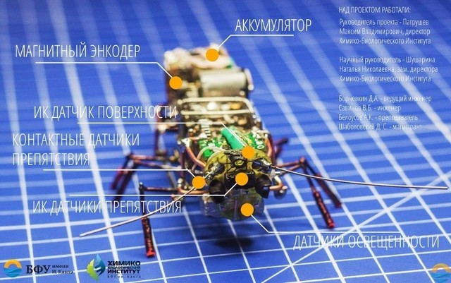 Gián robot ảnh 1 Gián robot ảnh 1