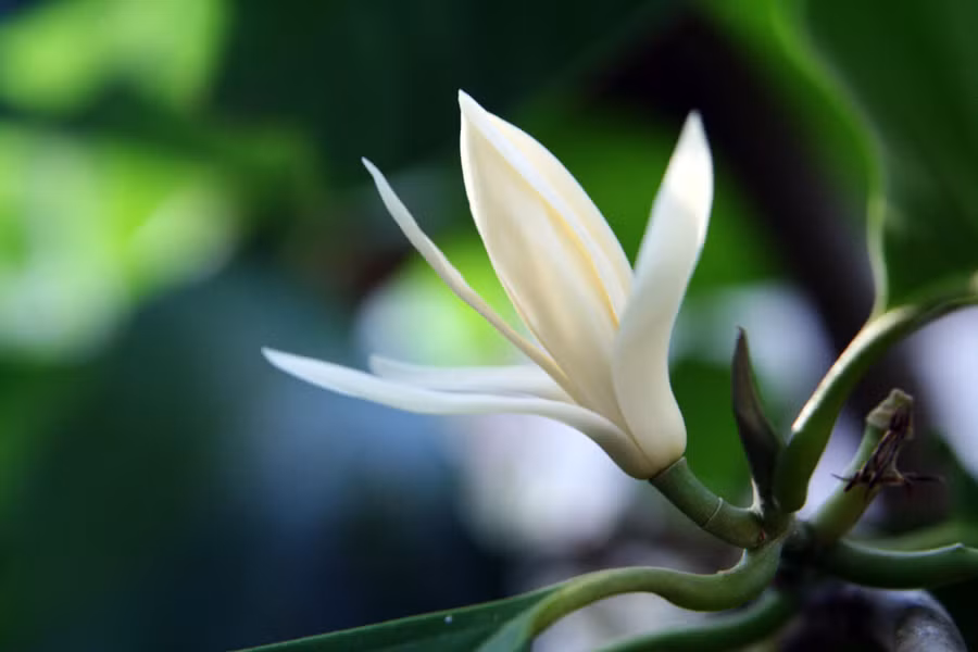 Ảnh minh họa: ITN