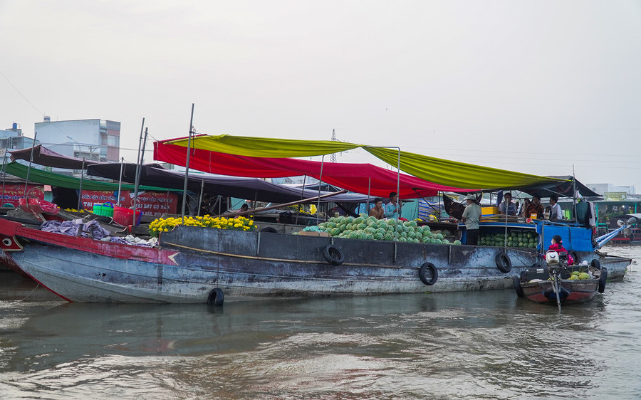 Các loại trái cây tươi ngon trưng bày trên gian hàng, làm bừng sáng không gian chợ nổi. Các loại trái cây tươi ngon trưng bày trên gian hàng, làm bừng sáng không gian chợ nổi.