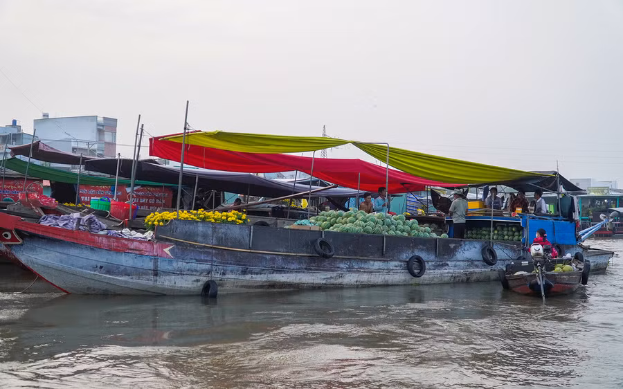 Các loại trái cây tươi ngon trưng bày trên gian hàng, làm bừng sáng không gian chợ nổi.