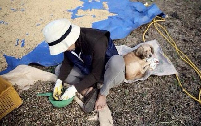 Hôn nhân vàng của “nữ hoàng sexy” Lee Hyori và chồng xấu ảnh 6 Hôn nhân vàng của “nữ hoàng sexy” Lee Hyori và chồng xấu ảnh 6