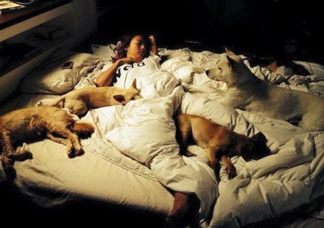 Hôn nhân vàng của “nữ hoàng sexy” Lee Hyori và chồng xấu ảnh 7 Hôn nhân vàng của “nữ hoàng sexy” Lee Hyori và chồng xấu ảnh 7