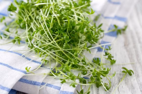 giảm mỡ, giảm cân, rau giảm mỡ máu, rau nhiều chất xơ