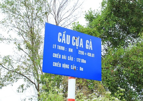 12 cay cau co ten goi doc dao nhat mien Tay-hinh-anh-2