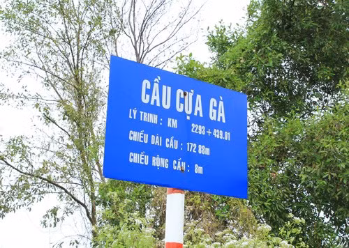 12 cay cau co ten goi doc dao nhat mien Tay-hinh-anh-2