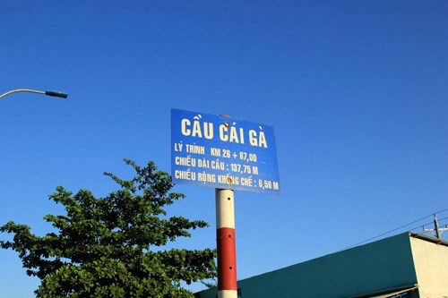 12 cay cau co ten goi doc dao nhat mien Tay-hinh-anh-3