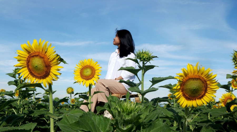 Ảnh minh họa ITN. Ảnh minh họa ITN.