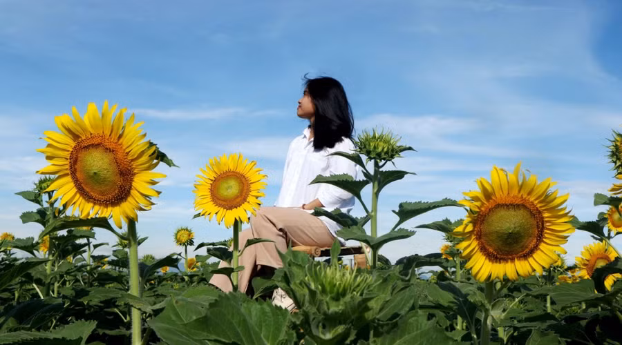 Ảnh minh họa ITN.