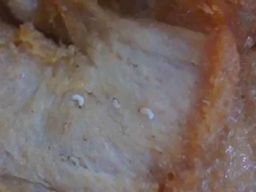 Kinh hãi giòi bò lúc nhúc trong thực phẩm chay ảnh 2 - 1