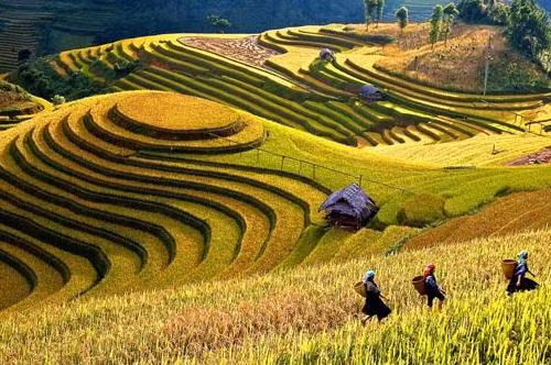 Đi từ tình cảm gia đình, bài thơ dẫn dắt người đọc đến tình cảm quê hương với hình ảnh của người đồng mình nơi núi rừng vùng cao nghèo khó. Ảnh minh họa: Nguồn IT