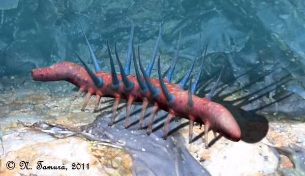 Phát khiếp họ hàng giun nhung tua tủa gai, 505 triệu tuổi ảnh 5