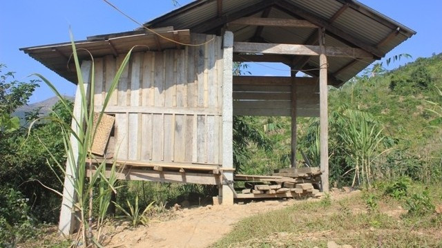 Cuộc sống của “dị nhân” hàng chục năm không tắm ảnh 4 Nơi ở của dị nhân hàng chục năm không tắm, thậm chí là không mặc quần áo
