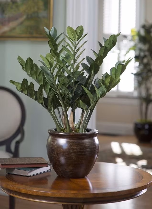 Muốn tránh xa xui xẻo trong nhà phải có một trong những loại cây này