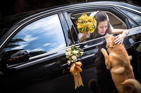 Những hình ảnh hài hước khắp mọi nơi trên thế giới (2) Nhung hinh anh hai huoc khap moi noi tren the gioi (2)