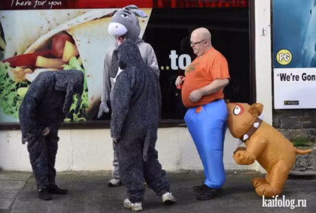 Cuoi vo bung voi hinh anh buon cuoi nhat tren doi - Anh 12