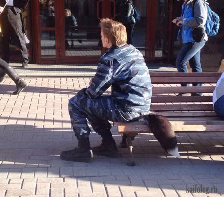 Cuoi vo bung voi hinh anh buon cuoi nhat tren doi - Anh 7